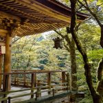 50代でパートに受からないのは年齢のせい？不採用が続く本当の原因と今日からできる5つの対策